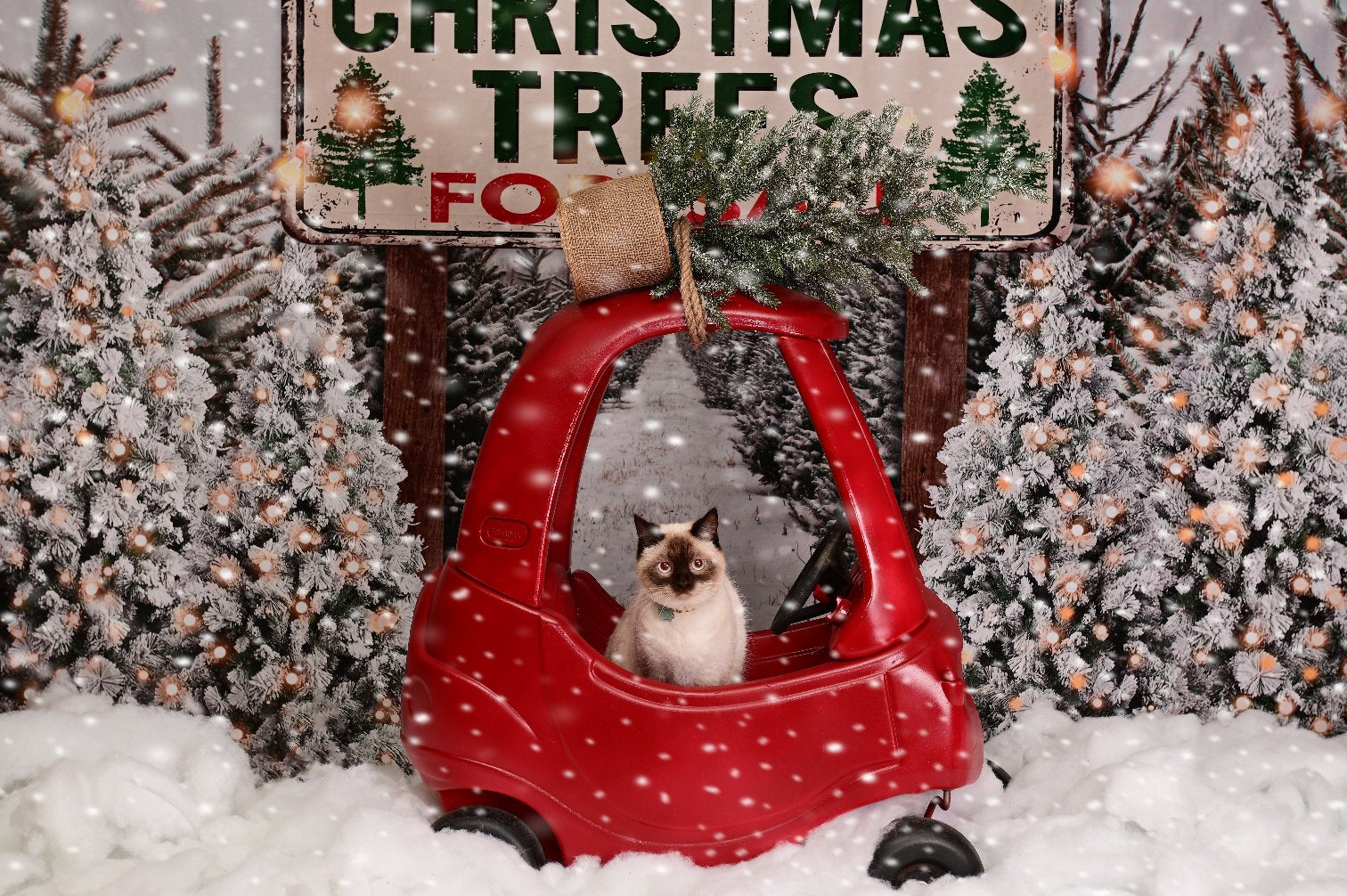 Kate Christmas Tree Winter Backdrop Snow for Photography - Kate Backdrop AU