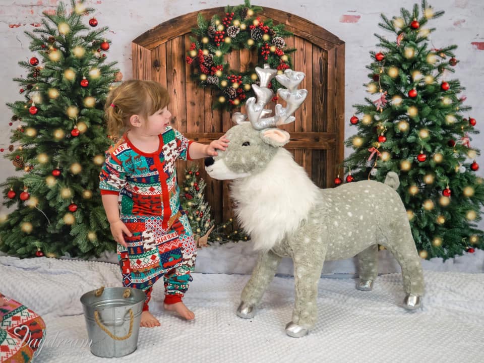 Kate Christmas Tree Wreath Barn Door Backdrop Designed by Emetselch - Kate Backdrop AU