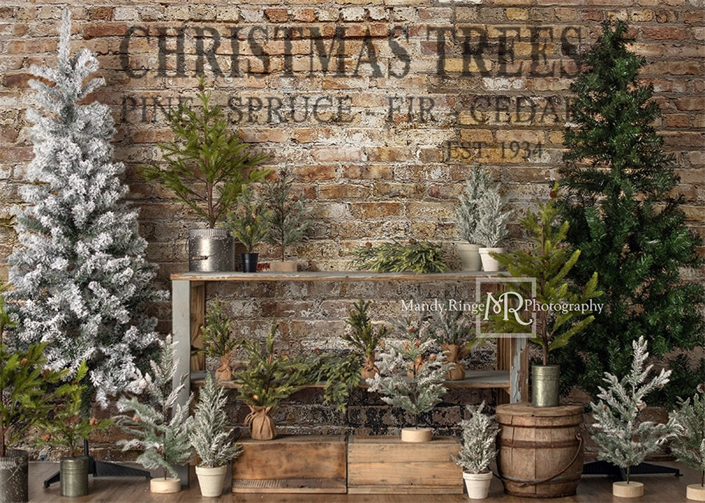 Kate Farm Fresh Backdrop Tree Stand Christmas Designed by Mandy Ringe Photography - Kate Backdrop AU