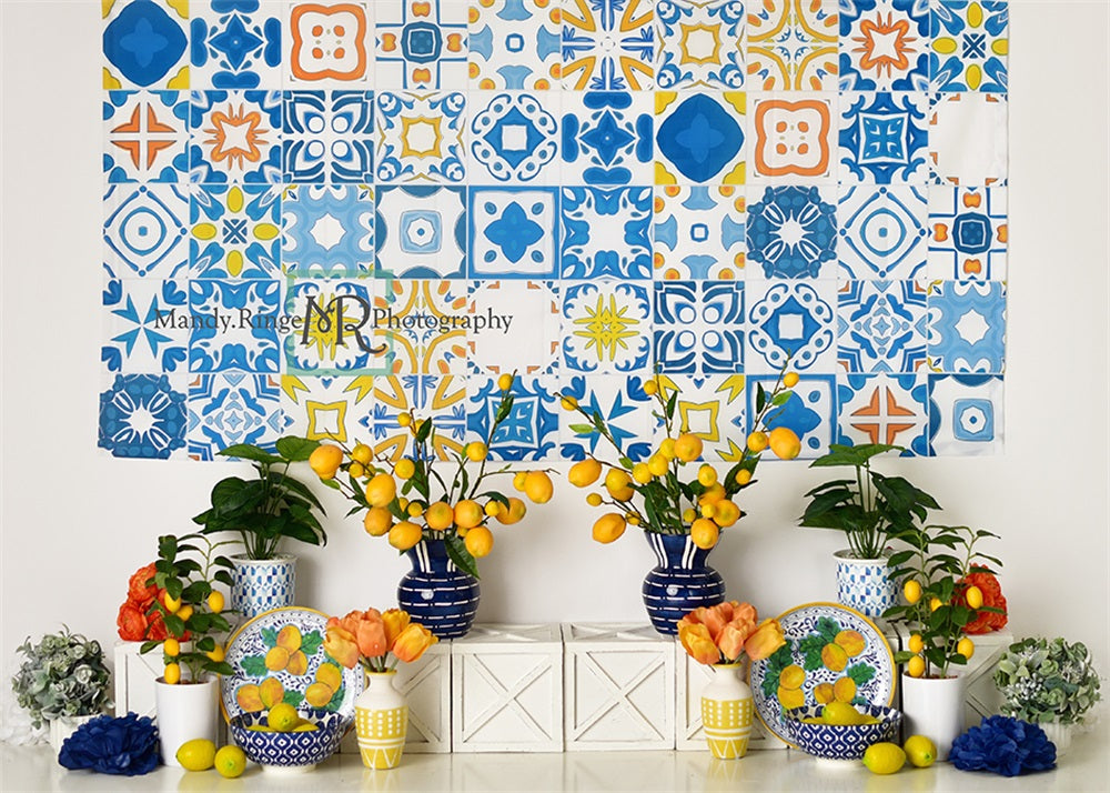 Kate Mediterranean Summer Backdrop Designed by Mandy Ringe Photography - Kate Backdrop AU