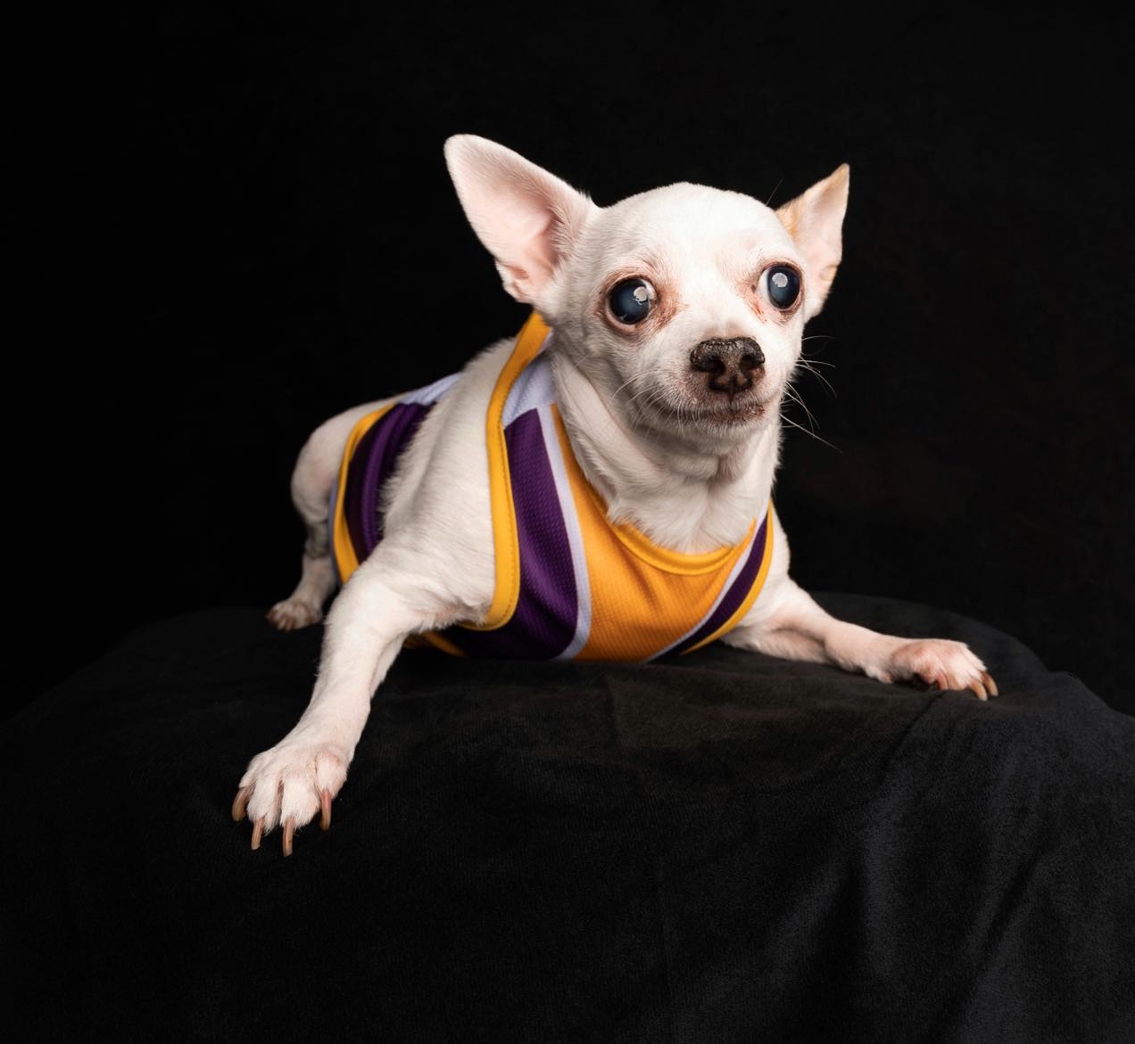 Kate Solid White/Black Solid Collapsible Backdrop Photography 5X6.5ft(1.5x2m) - katebackdrop AU