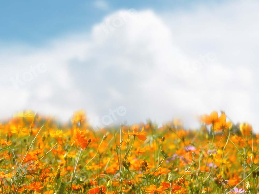 Kate Summer Bokeh Backdrop Flower for Photography - Kate Backdrop AU