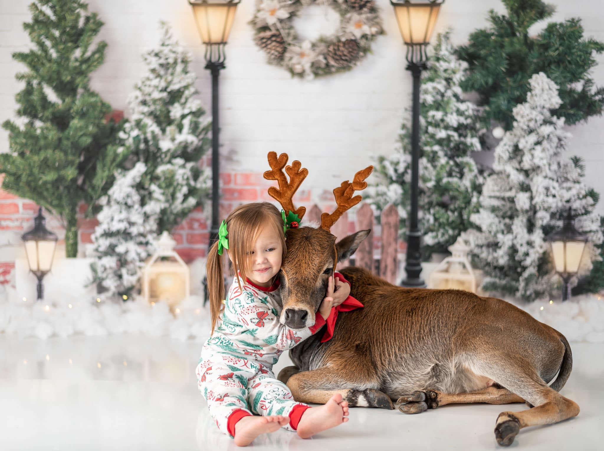 Kate Xmas Backdrop Christmas Garden with Lights Designed by Emetselch - Kate Backdrop AU