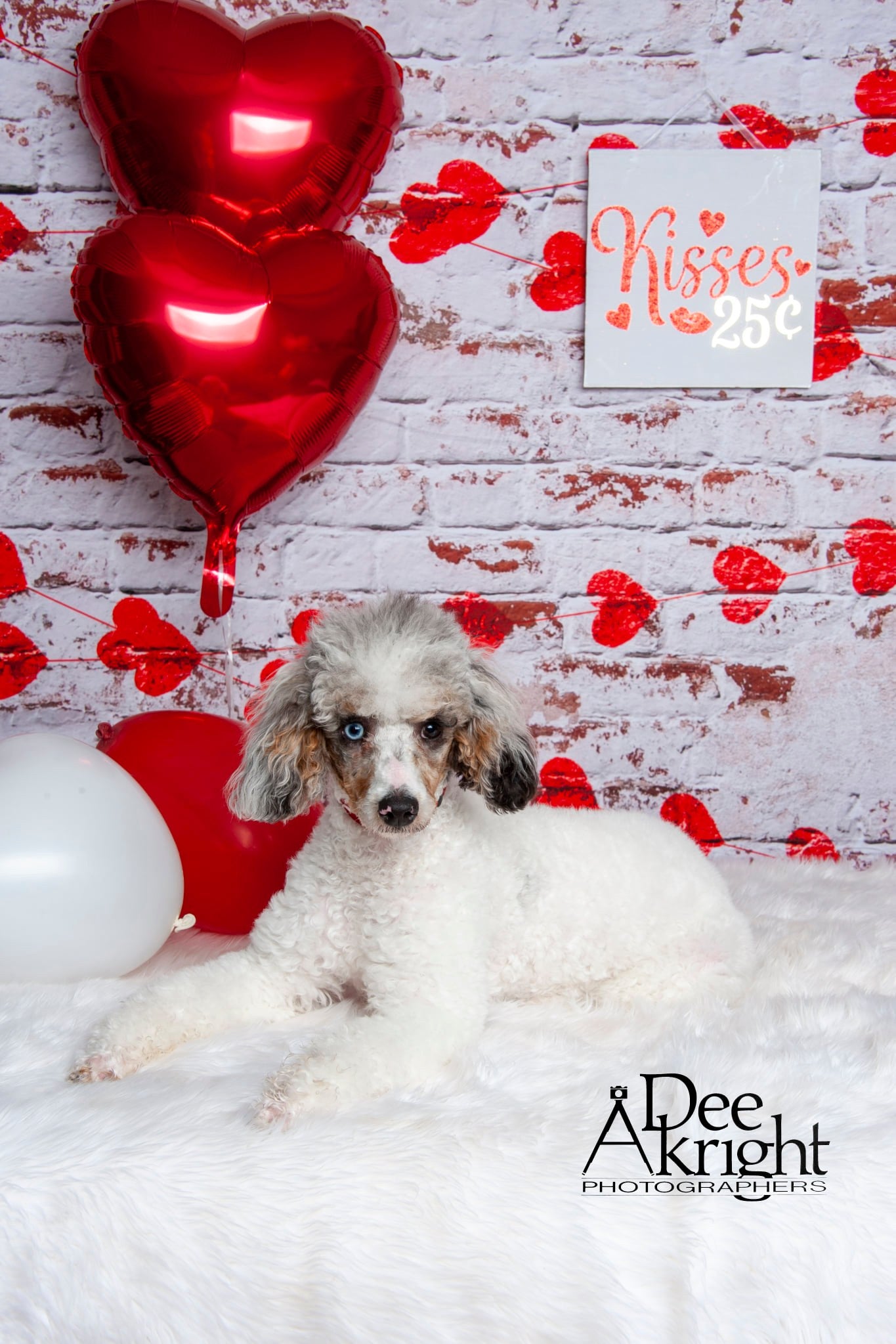 Kate white brick wall with red hearts Valentine's Day Backdrop for Photography designed by Jerry_Sina - Kate Backdrop AU