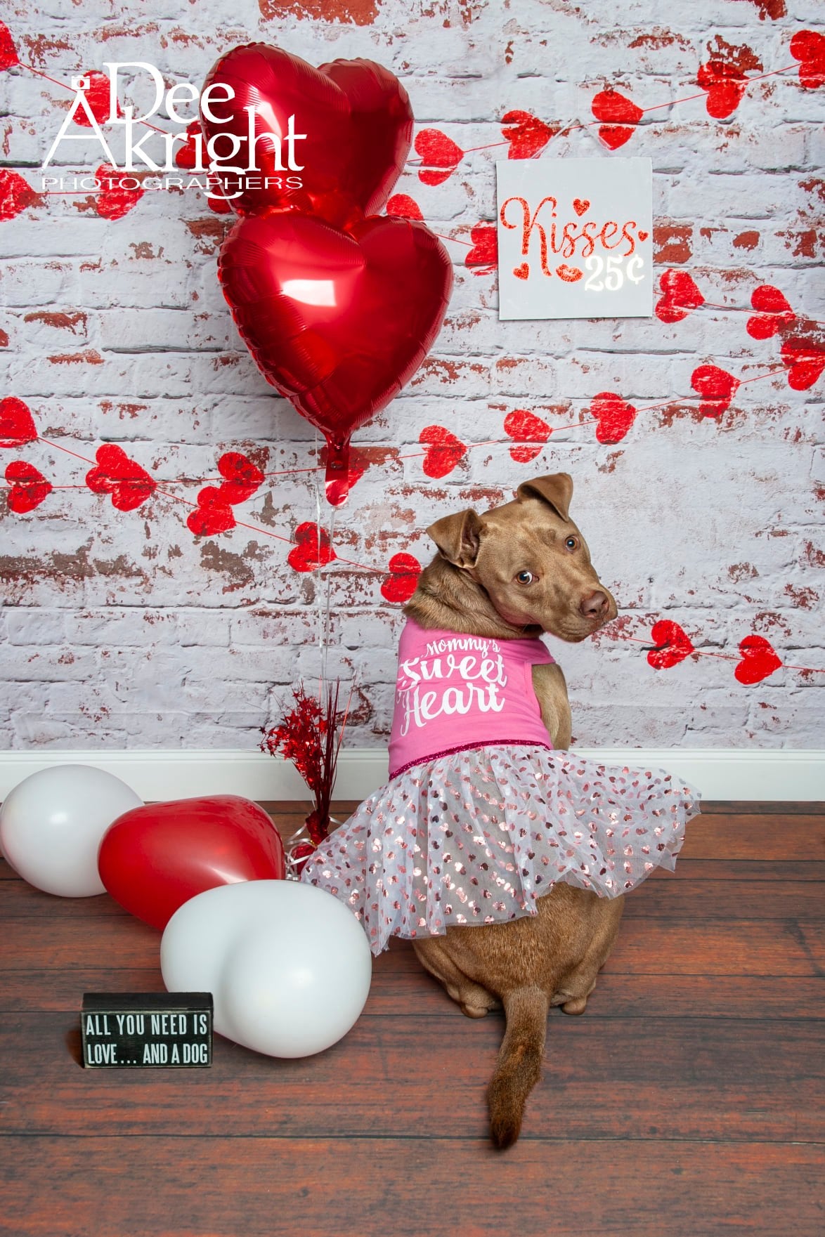 Kate white brick wall with red hearts Valentine's Day Backdrop for Photography designed by Jerry_Sina - Kate Backdrop AU