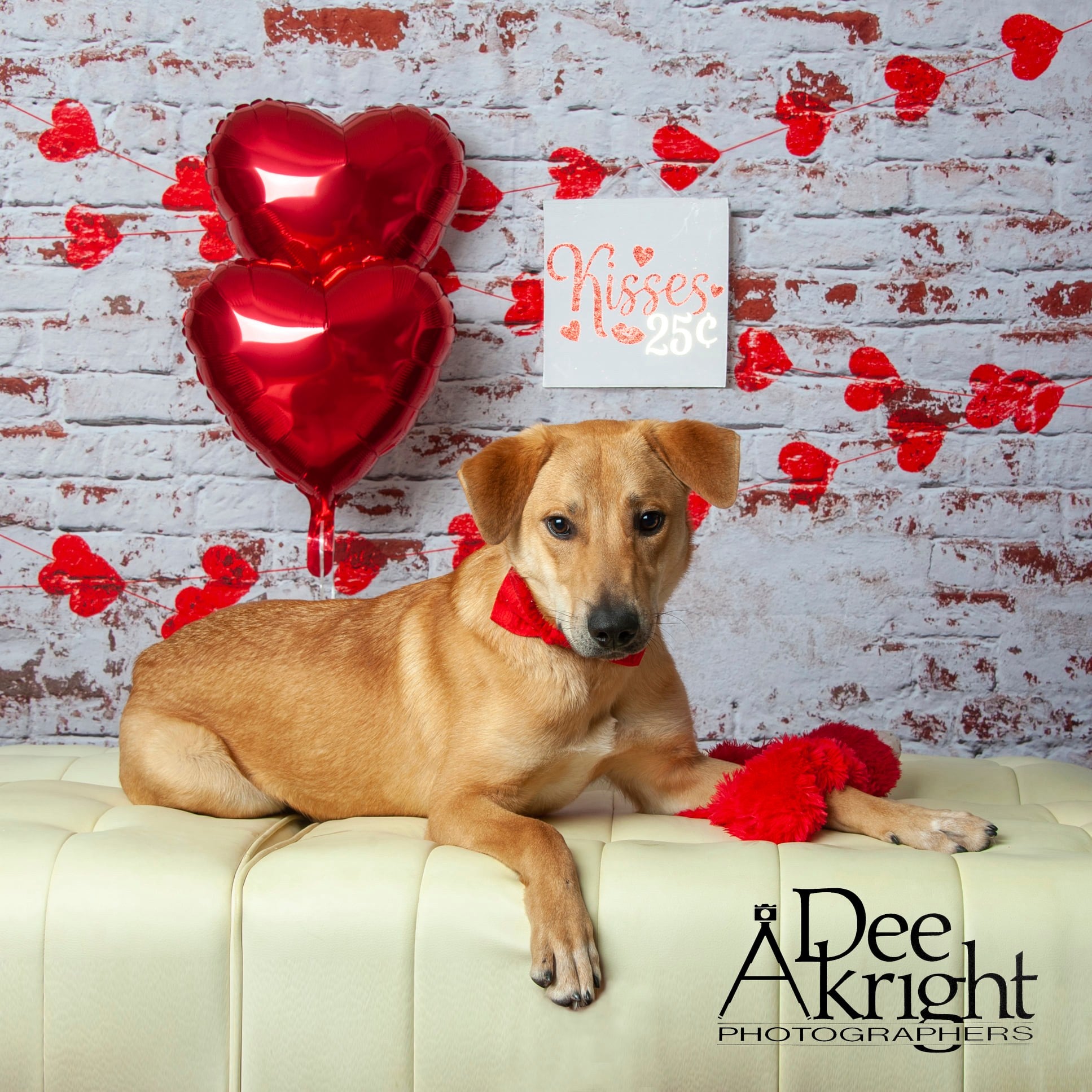 Kate white brick wall with red hearts Valentine's Day Backdrop for Photography designed by Jerry_Sina - Kate Backdrop AU