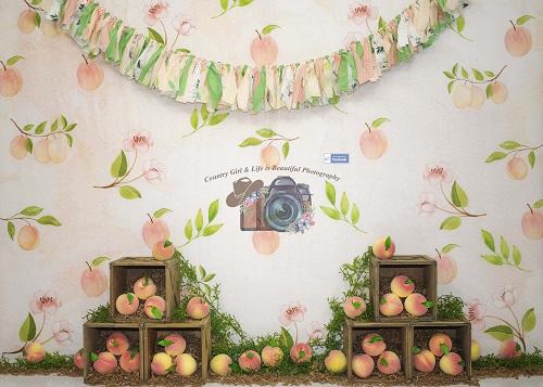 Kate Georgia Peach Backdrop Designed By Leann West - Kate Backdrop AU