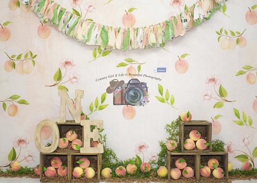 Kate Georgia Peach 1st Birthday Backdrop Designed By Leann West - Kate Backdrop AU