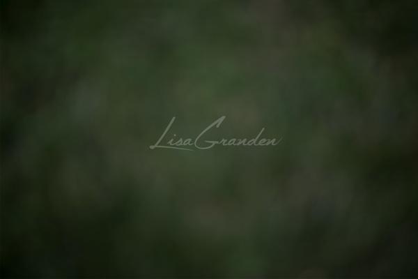 Kate Greenblur Floor Backdrop for Photography Designed by Lisa Granden - Kate Backdrop AU