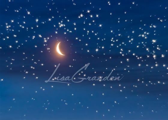 Katebackdrop¡êoKate Moon&Stars Backdrop for Photography Designed by Lisa Granden