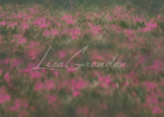 Kate Pink Orchard Floor Backdrop for Photography Designed by Lisa Granden - Kate Backdrop AU