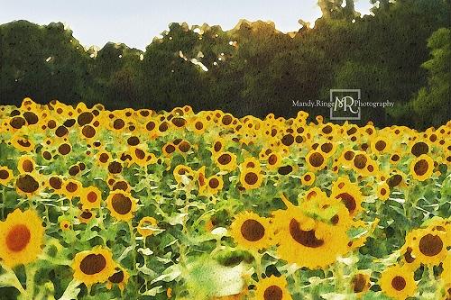 Kate Summer Sunflower Field Backdrop Designed by Mandy Ringe Photography - Kate Backdrop AU