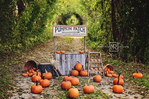 Kate Autumn/Thanksgiving Backdrop Pumpkin Stand Designed by Mandy Ringe Photography - Kate Backdrop AU