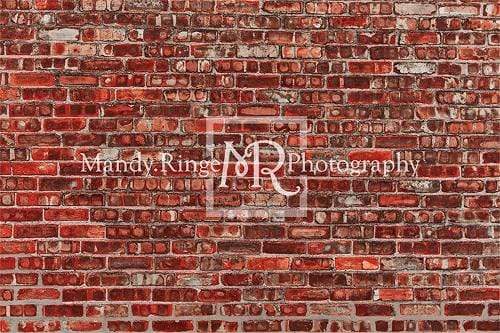 Kate Red Valentine's Day Brick Backdrop Designed By Mandy Ringe Photography - Kate Backdrop AU