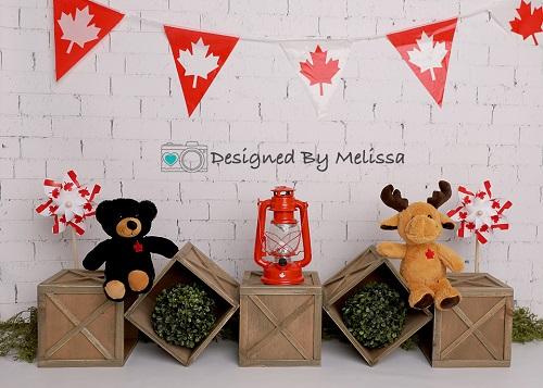 Kate Canada Teddy Backdrop Designed by Melissa King - Kate Backdrop AU