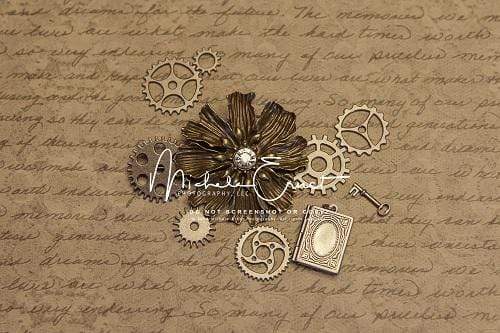 Kate Steam Punk Backdrop for Photography Designed By Michele Ernst Photography - Kate Backdrop AU