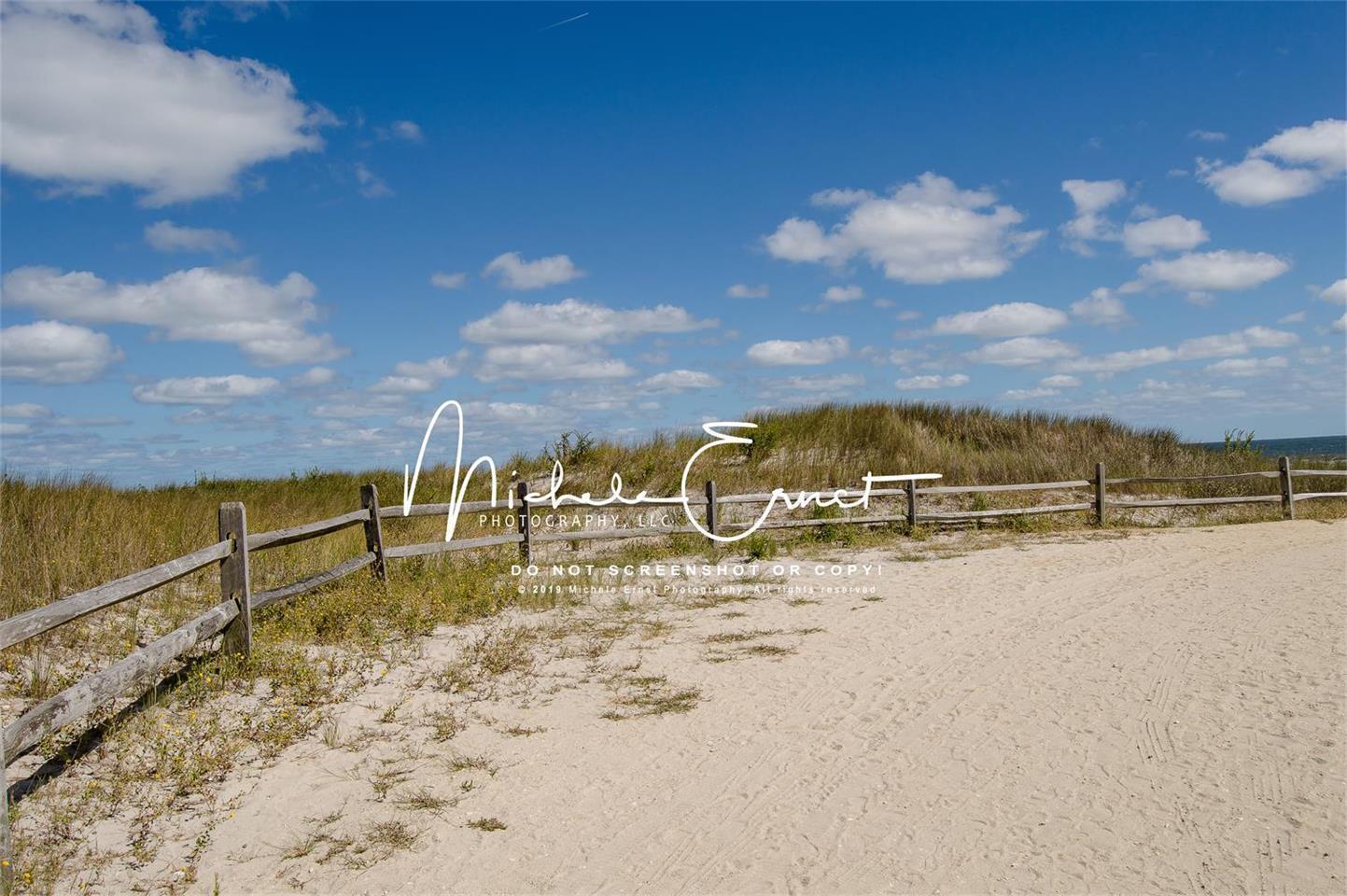 Kate Pebble Beach Summer Backdrop Designed By Michele Ernst Photography - Kate Backdrop AU