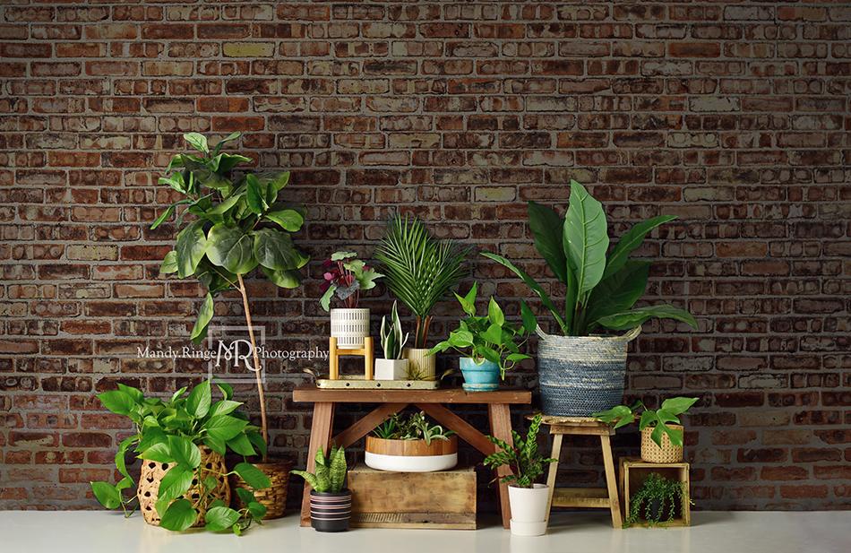 Kate Spring/mother's Day Plant Lover Backdrop Designed by Mandy Ringe Photography - Kate Backdrop AU