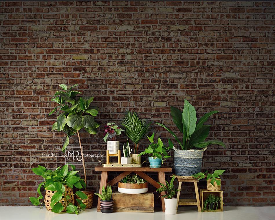 Kate Spring/mother's Day Plant Lover Backdrop Designed by Mandy Ringe Photography - Kate Backdrop AU