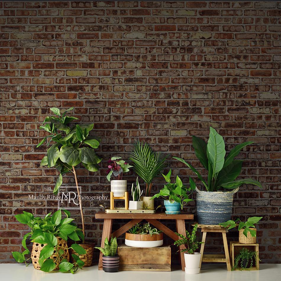 Kate Spring/mother's Day Plant Lover Backdrop Designed by Mandy Ringe Photography - Kate Backdrop AU