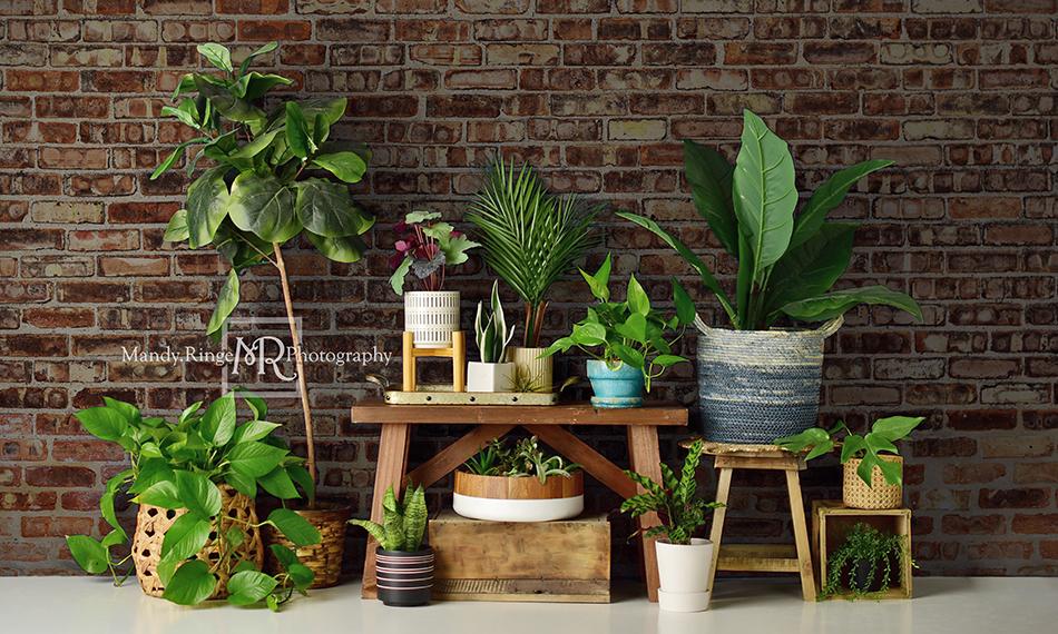 Kate Spring/mother's Day Plant Lover Backdrop Designed by Mandy Ringe Photography - Kate Backdrop AU