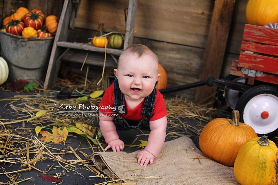 Kate Pumpkin Harvest Backdrop Autumn and Halloween designed by Arica Kirby - Kate Backdrop AU