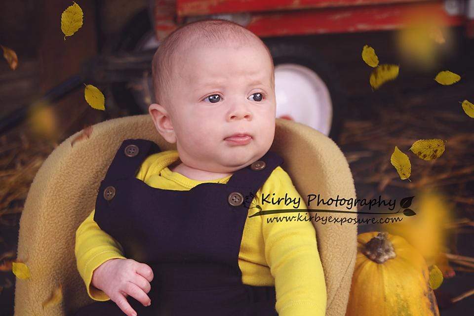 Kate Pumpkin Harvest Backdrop Autumn and Halloween designed by Arica Kirby - Kate Backdrop AU