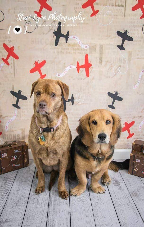 Kate Retro Planes Valentines Backdrop for Photography designed by Jerry_Sina - Kate Backdrop AU