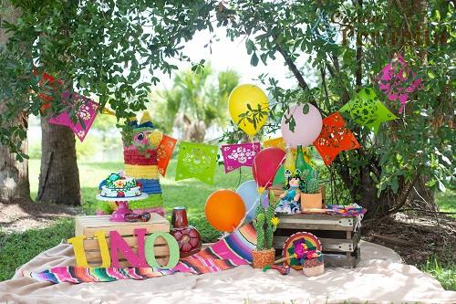 Kate First Birthday Backdrop Camp Picnic Designed by Tyna Renner - Kate Backdrop AU