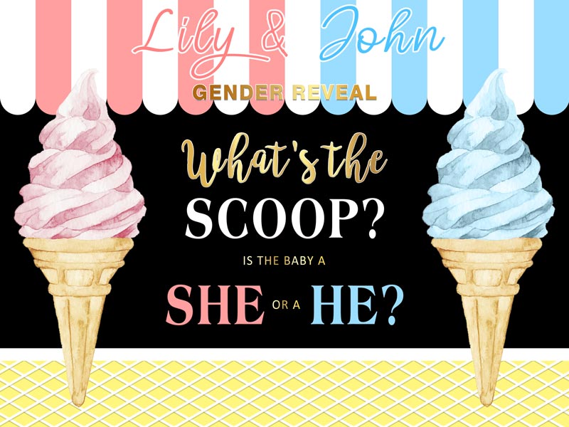 Kate Girl or Boy Gender Reveal Blue or Pink Custom Backdrop - Kate Backdrop AU
