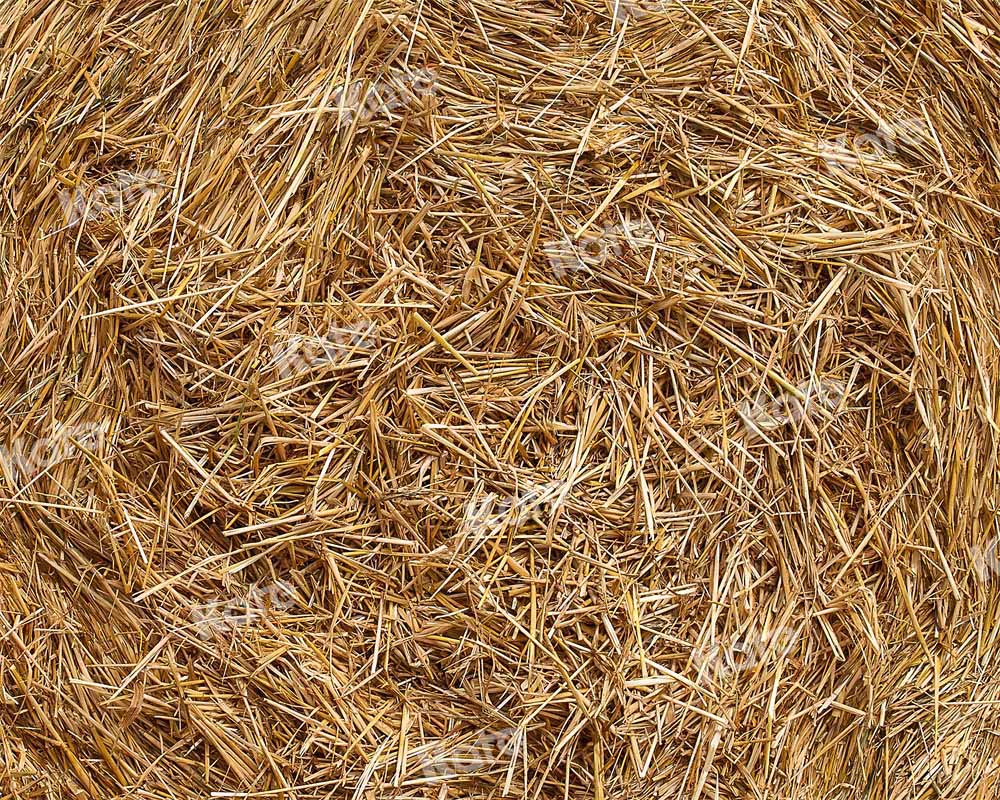 Kate Autumn Messy Yellow Straw Rubber Floor Mat - Kate Backdrop AU