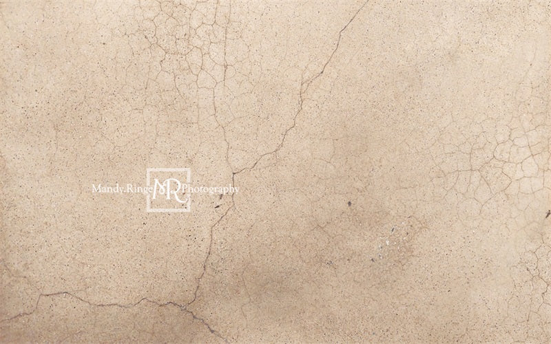 Kate Worn Cracked Terrazzo Rubber Floor Mat designed by Mandy Ringe Photography - Kate Backdrop AU