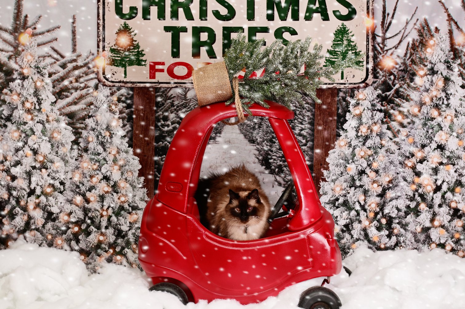 Kate Christmas Tree Winter Backdrop Snow for Photography - Kate Backdrop AU
