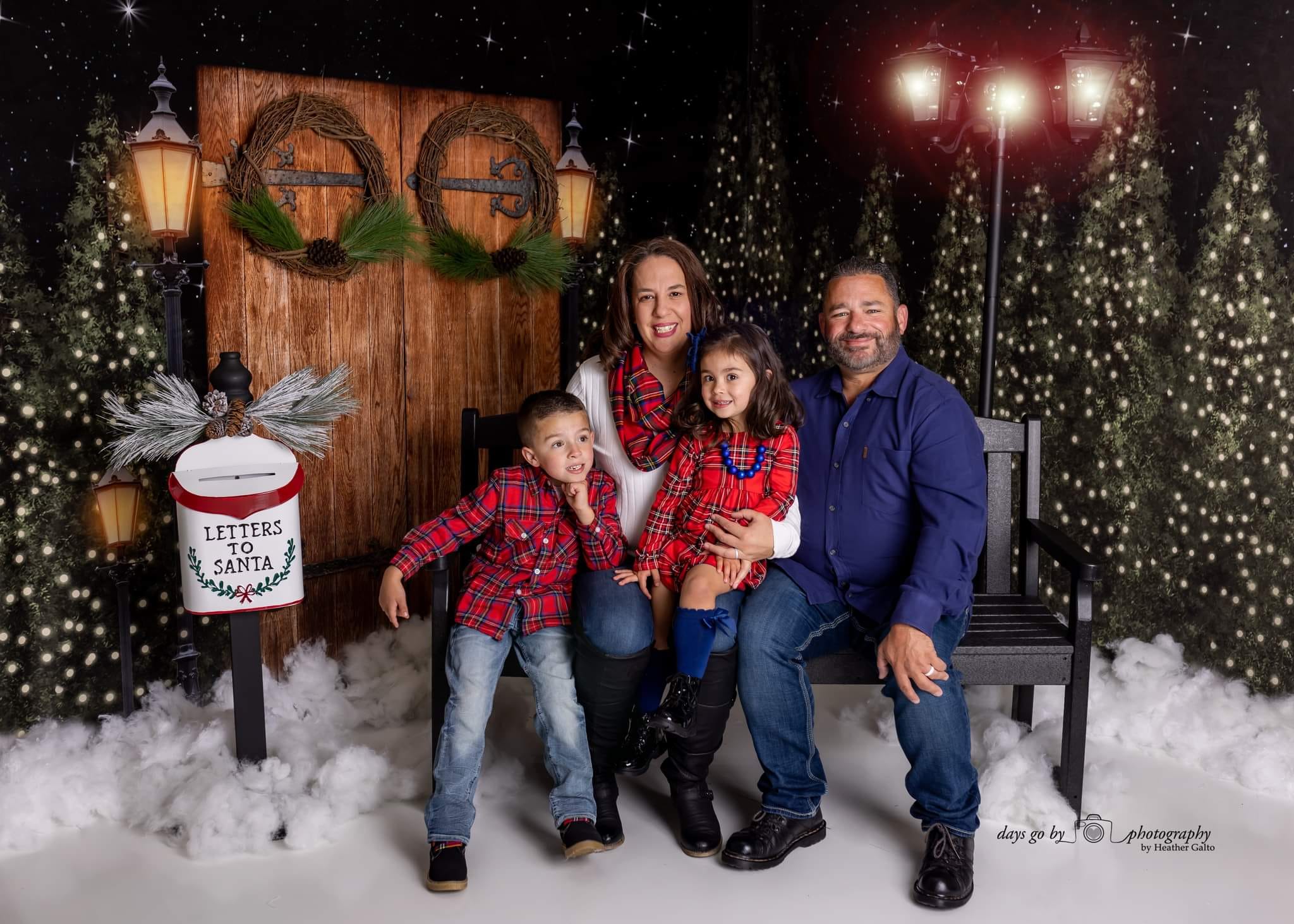 Kate Christmas Trees Snow Winter Room Set - Kate Backdrop AU