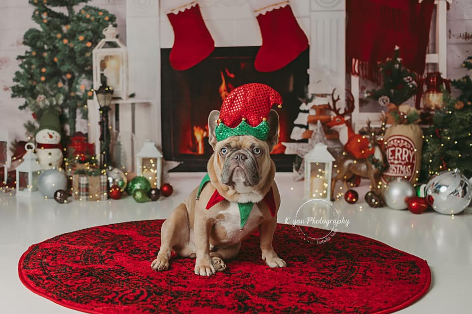 Kate Fireplace Xmas Tree Backdrop Designed by Jia Chan Photography - Kate Backdrop AU