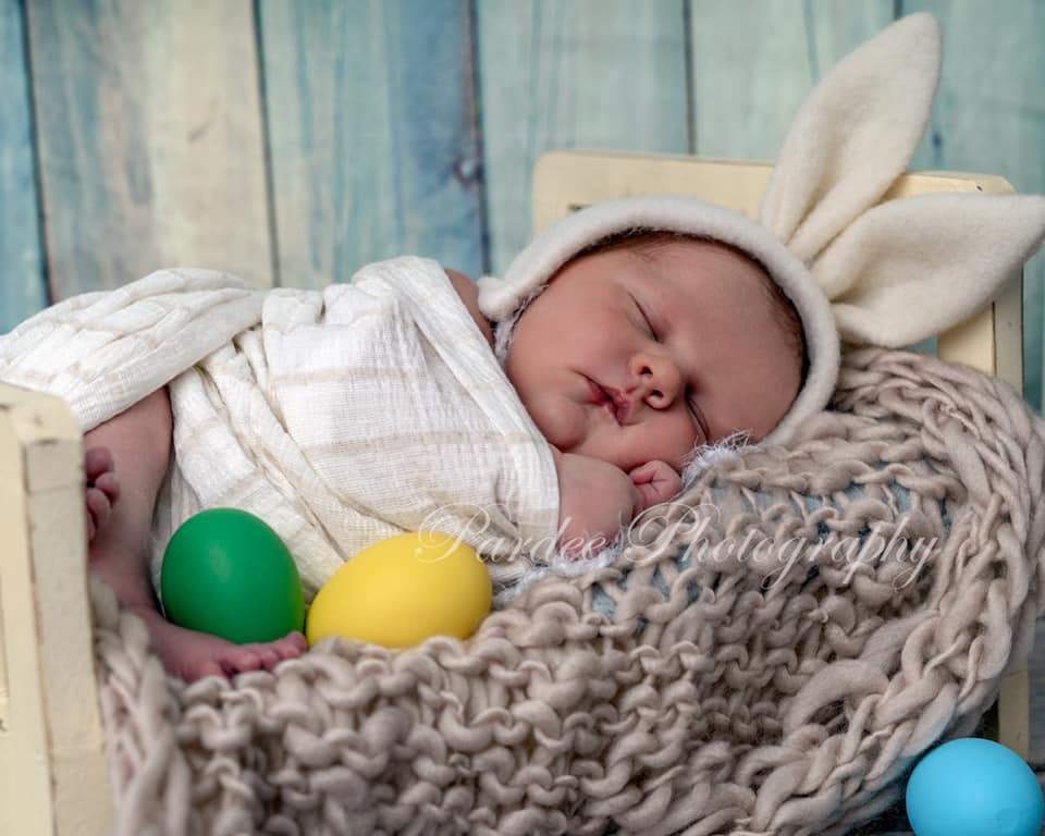 Kate Blue and Beige Wood Backdrop for Photography - Kate Backdrop AU