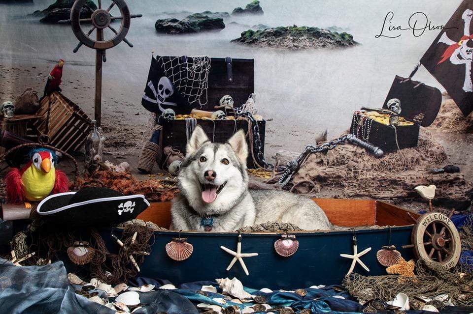 Kate Summer Sea Pirate Backdrop designed by studio gumot - Kate Backdrop AU