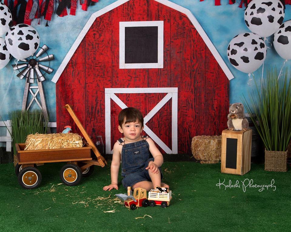 Kate Barnyard Fun Balloons Children Backdrops Designed by Arica Kirby - Kate Backdrop AU