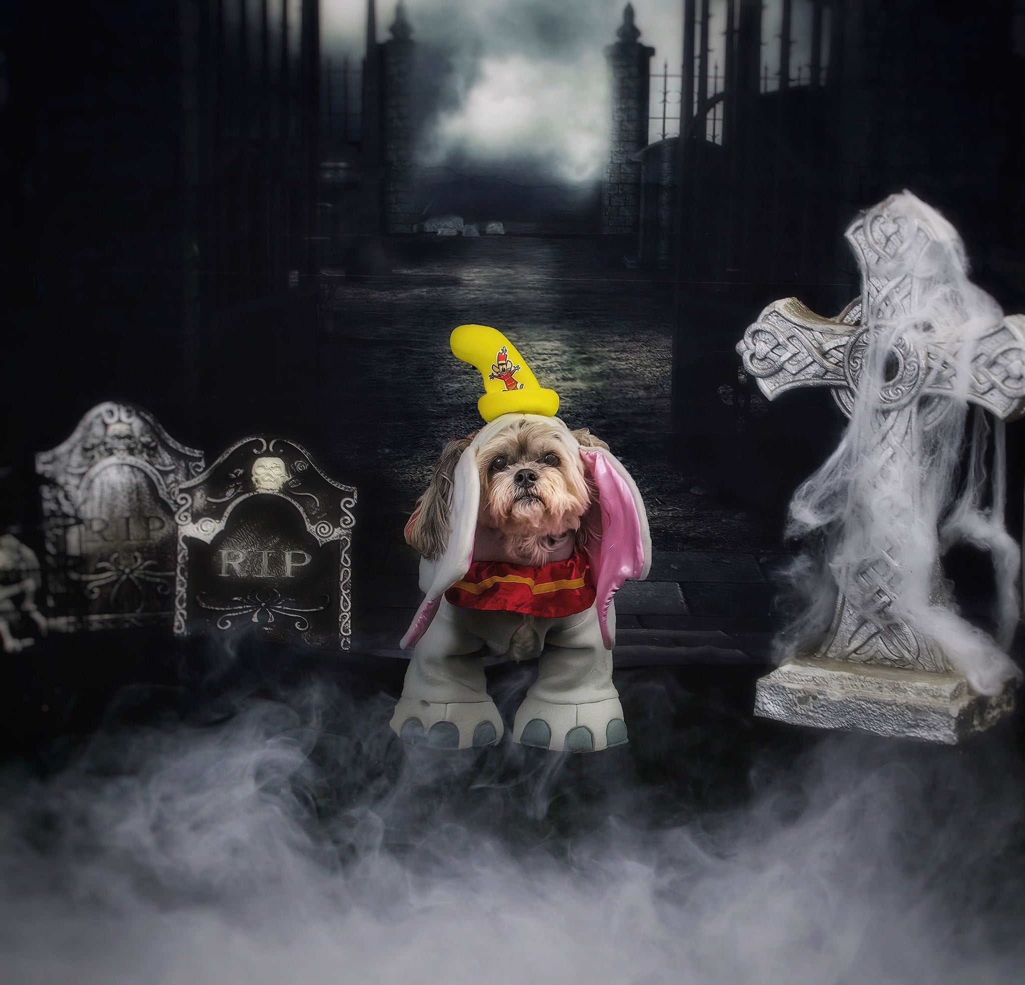 Kate Halloween fabric Backdrop for photography Haunted house - Kate Backdrop AU