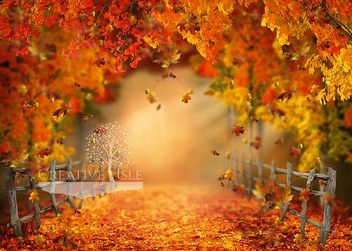 Kate Autumn Woods Backdrop Designed by Chrissie Green - Kate Backdrop AU
