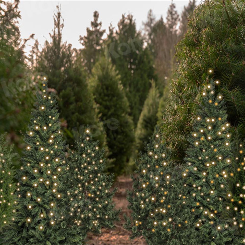 Kate Christmas Trees Backdrop Forest for Photography - Kate Backdrop AU