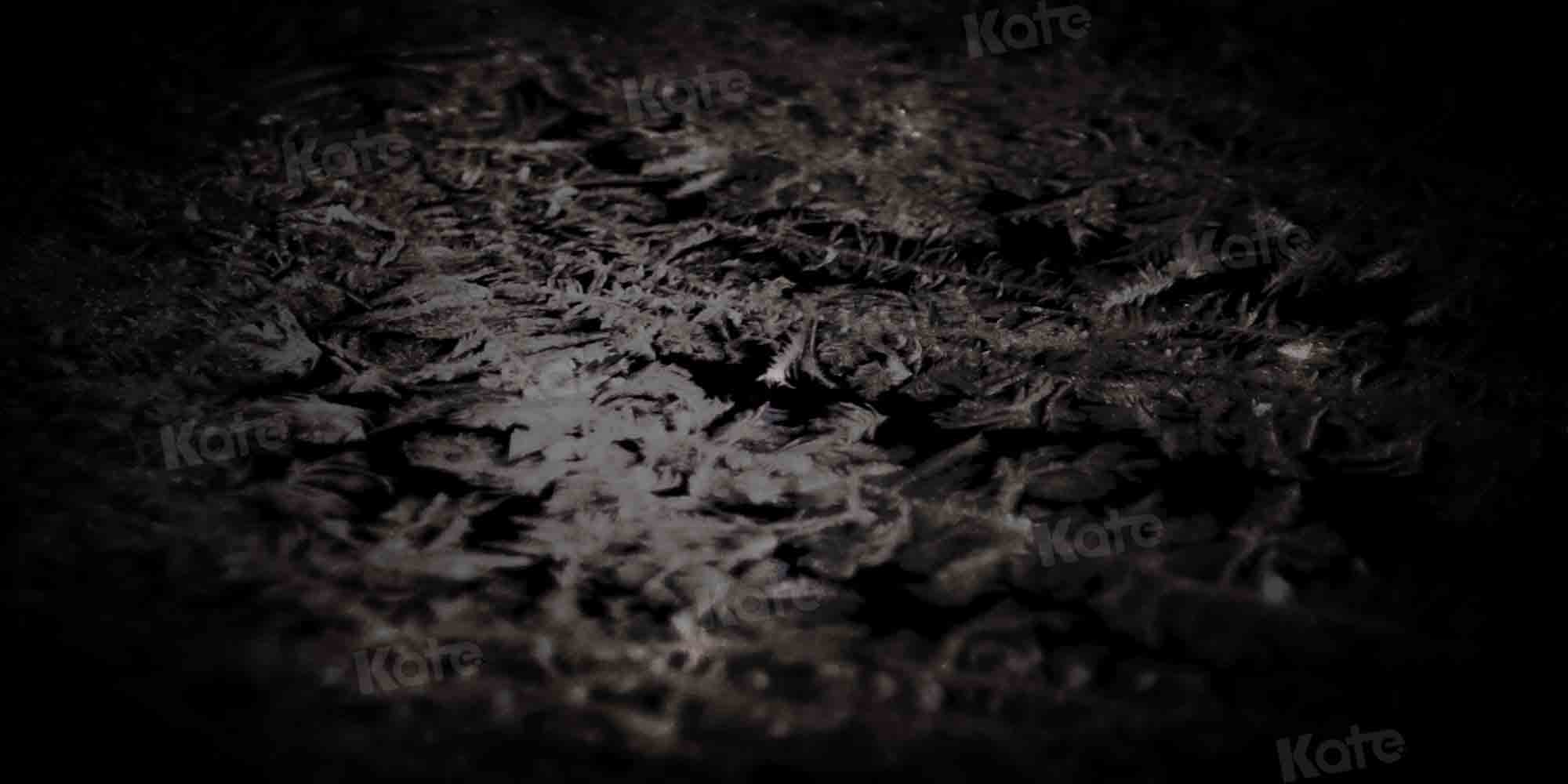 Kate Abstract Black Backdrop Frost Texture Designed by Kate Image - Kate Backdrop AU