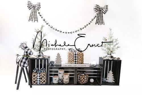 Kate Christmas Black and White Grid Backdrop Designed By Michele Ernst Photography - Kate Backdrop AU