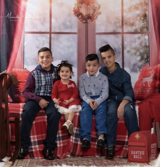 Kate Christmas Snow And Sunshine Outside Window Backdrops for Photography - Kate Backdrop AU