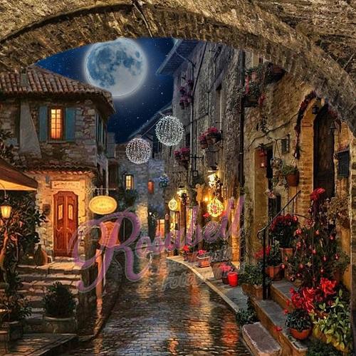 Kate Moon Night Backdrop Designed by Rosabell Photography - Kate Backdrop AU