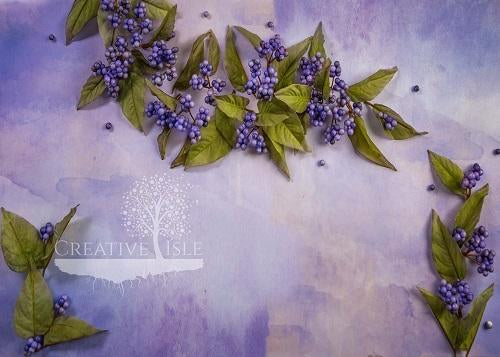 Kate Purple Berries Backdrop Designed by Chrissie Green - Kate Backdrop AU
