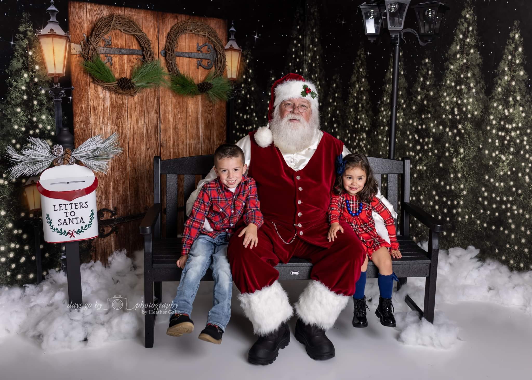 Kate Christmas Trees Snow Winter Room Set - Kate Backdrop AU