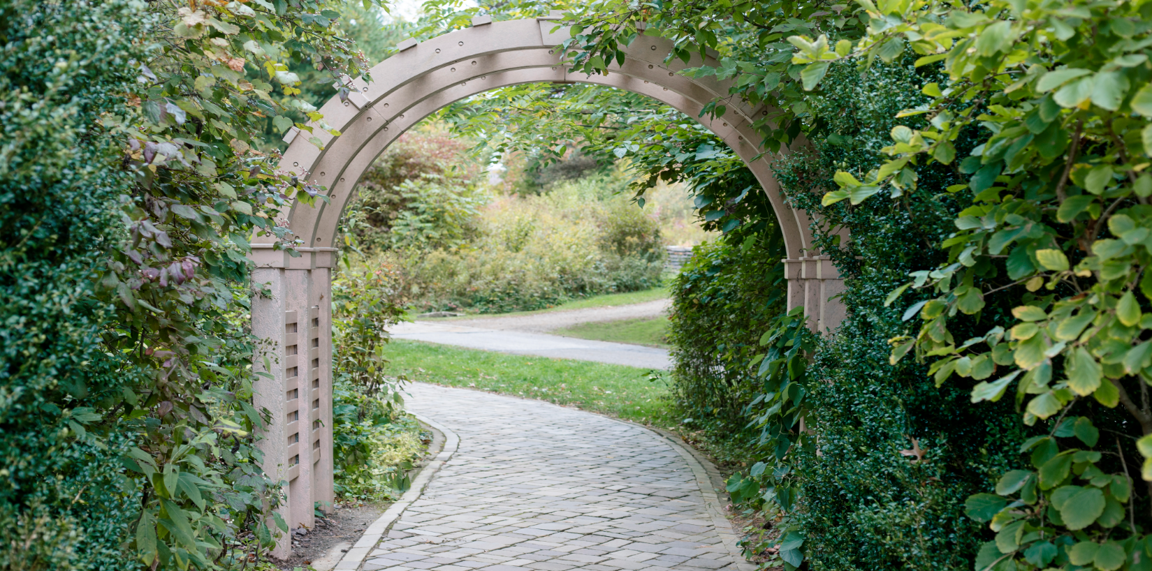 Kate Spring Park Arch Backdrop Designed By Erin Larkins - Kate Backdrop AU