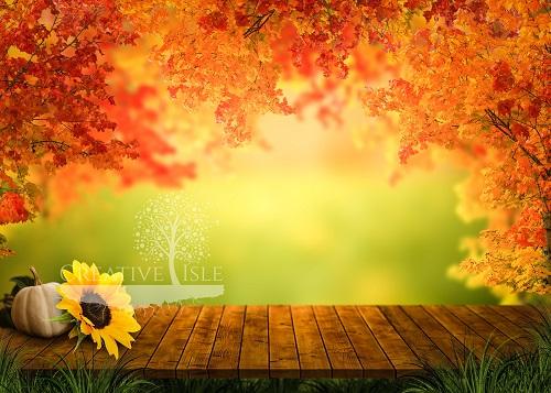 Kate Sunny Autumn Backdrop Designed by Chrissie Green - Kate Backdrop AU