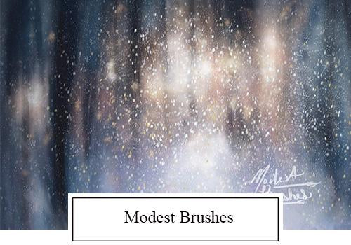 Modest Brushes (Caitlin Goff)